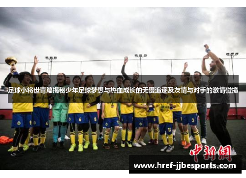 足球小将世青篇揭秘少年足球梦想与热血成长的无畏追逐及友情与对手的激情碰撞