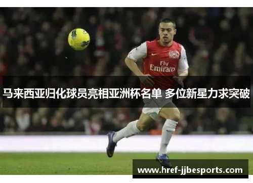 马来西亚归化球员亮相亚洲杯名单 多位新星力求突破