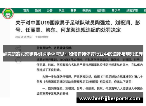 魏震禁赛罚款事件引发争议深思：如何看待体育行业中的道德与规则边界
